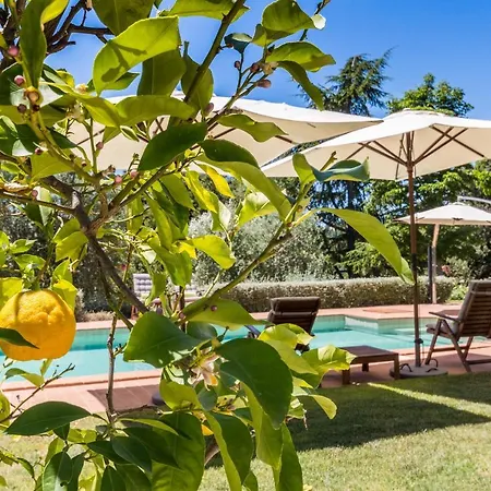 Dei Limoni Villa *